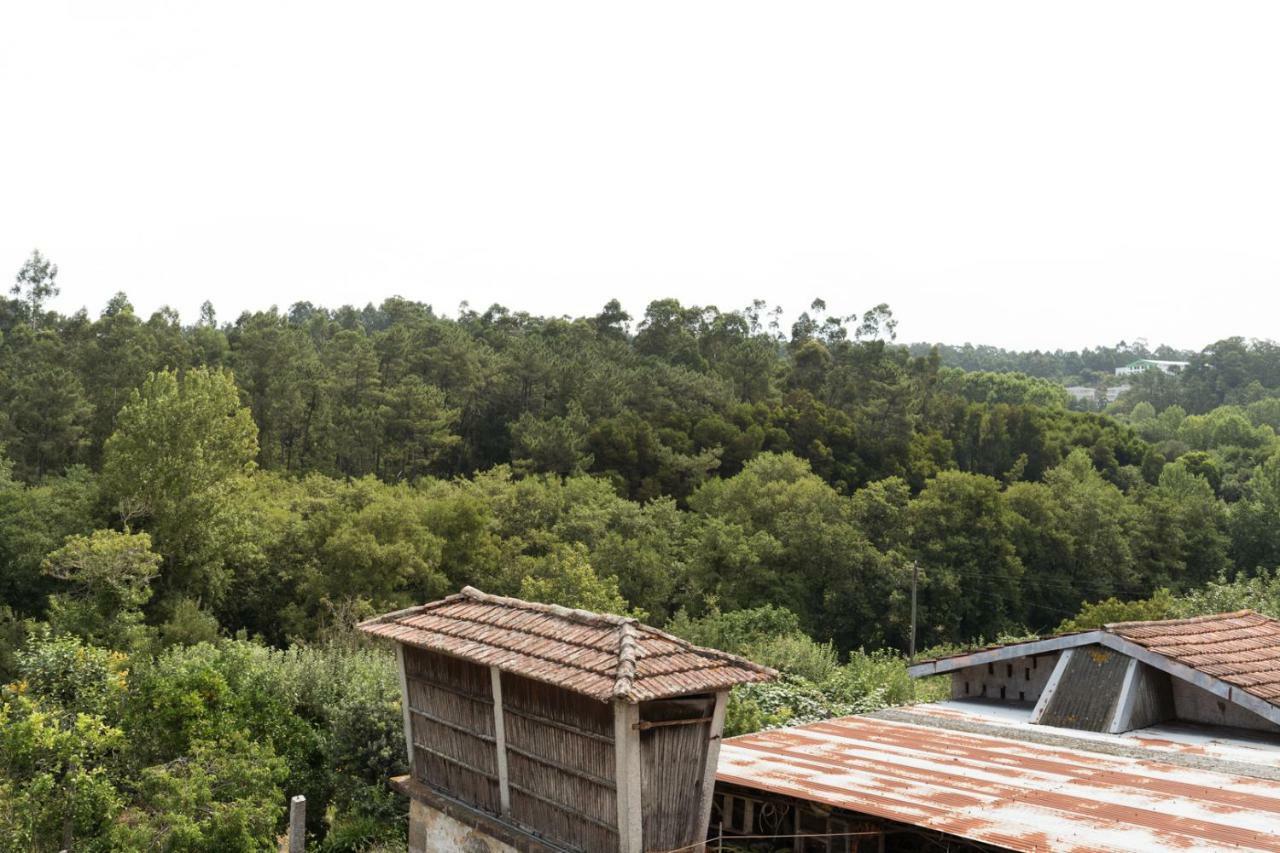 Casa Do Campo Al Ξενοδοχείο Caldas de Sao Jorge Εξωτερικό φωτογραφία