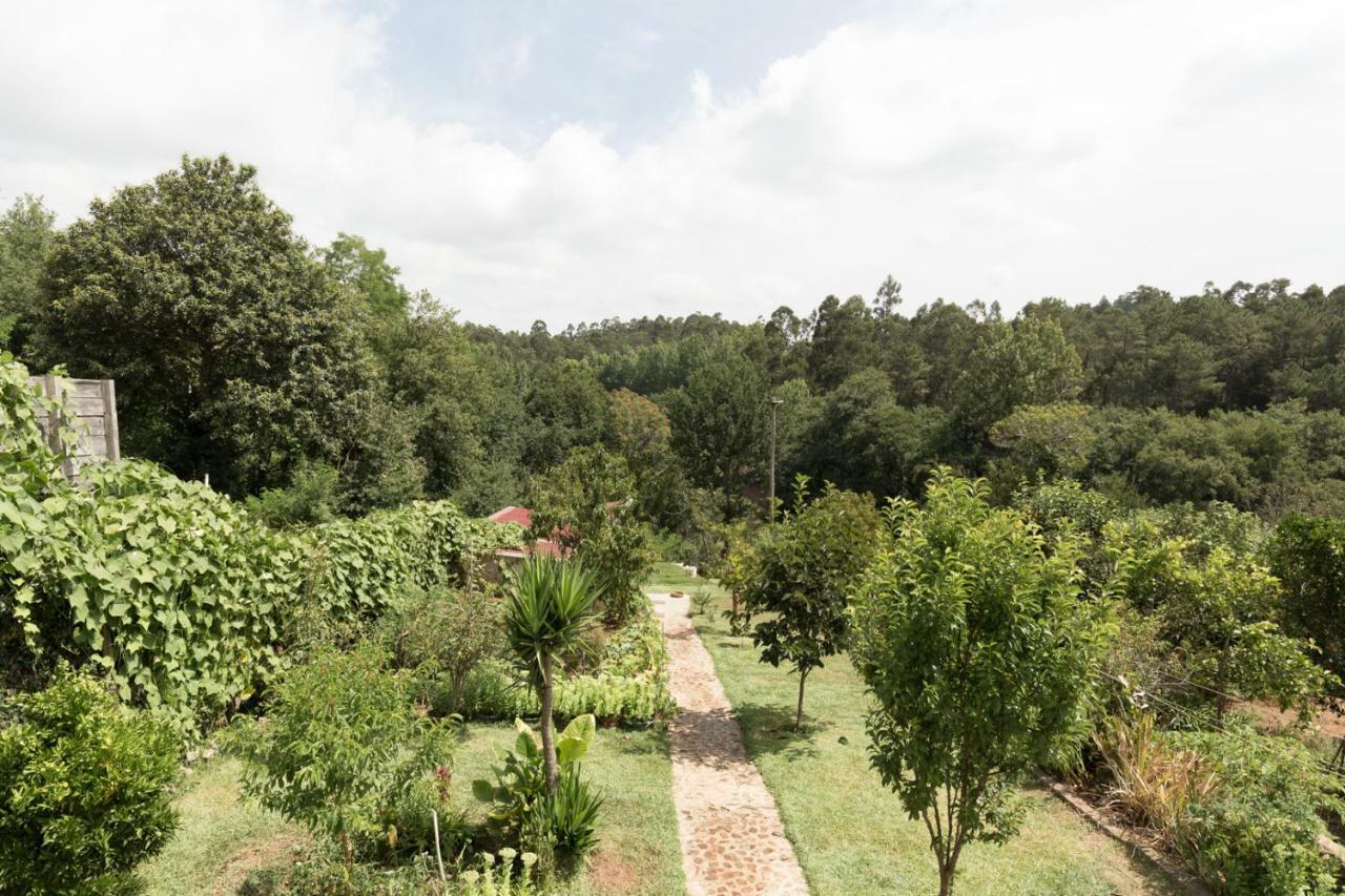 Casa Do Campo Al Ξενοδοχείο Caldas de Sao Jorge Εξωτερικό φωτογραφία