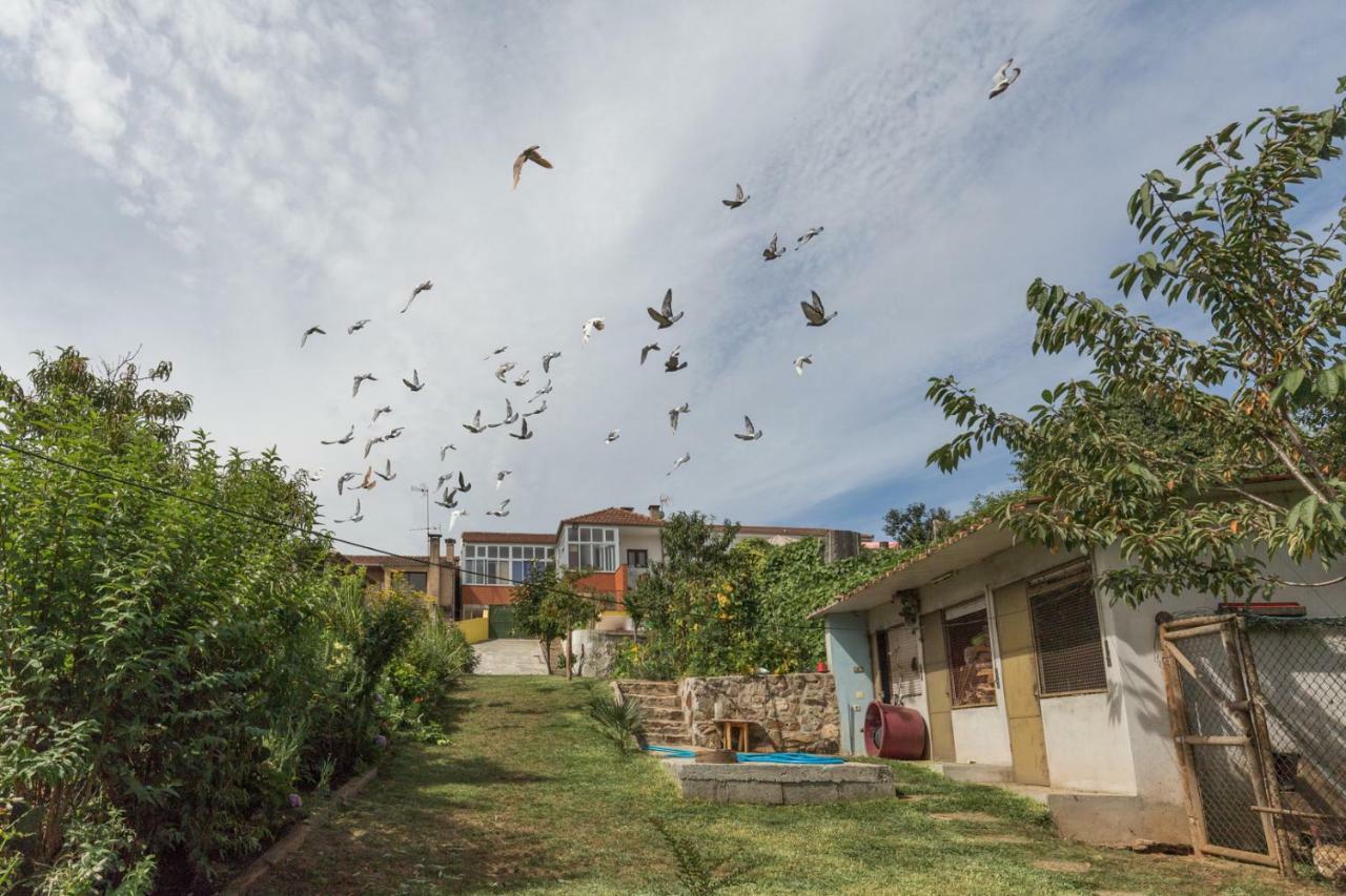 Casa Do Campo Al Ξενοδοχείο Caldas de Sao Jorge Εξωτερικό φωτογραφία